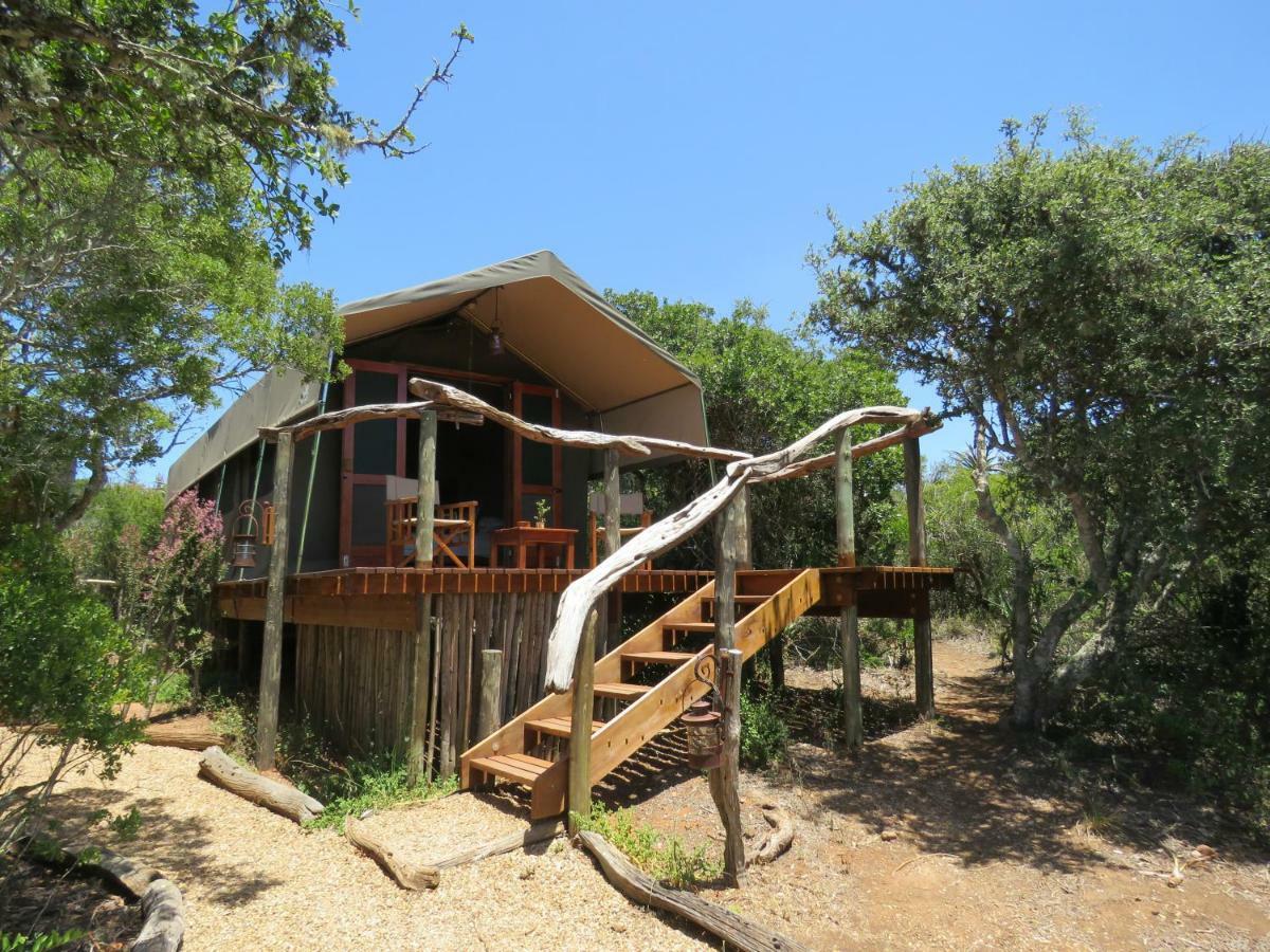 Woodbury Tented Camp - Amakhala Game Reserve Exterior foto